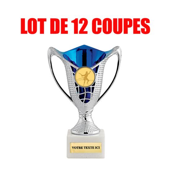Lot de 12 coupes argent bleu - 2 tailles