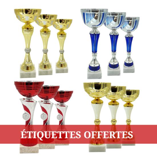 Lot de 12 coupes 26-36cm