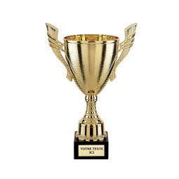 Coupe or avec anses <br>2 tailles disponibles