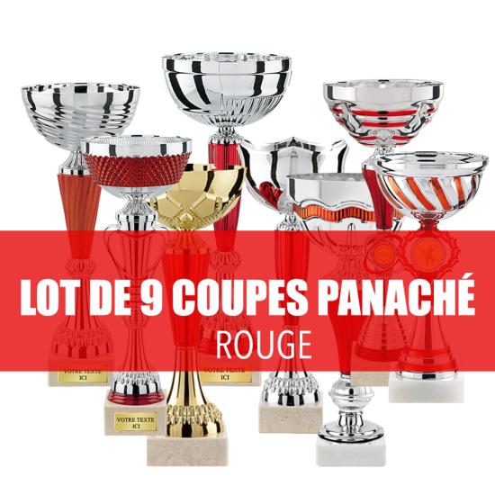 Lot de 9 coupes assorties 19-24 cm