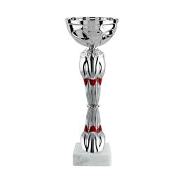 Coupe argent rouge 22cm
