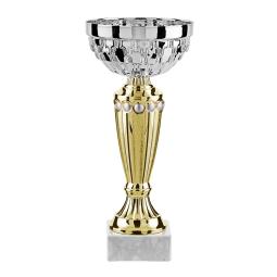 Coupe argent or 24cm