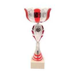 Coupe argent rouge 35cm