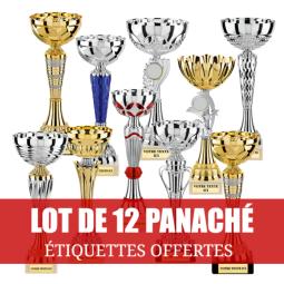 Lot de 12 coupes panach 18-23cm - LT12PA