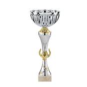 Coupe argent or 38cm - TDF20G