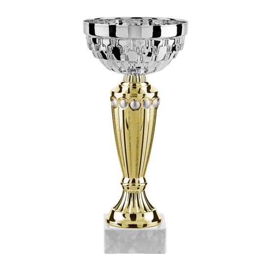 Coupe argent or 24cm