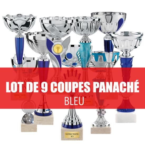 Lot de 9 coupes assorties 21-26cm